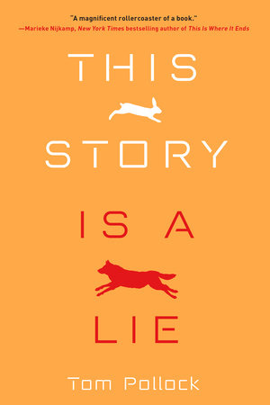 This Story Is A Lie cover